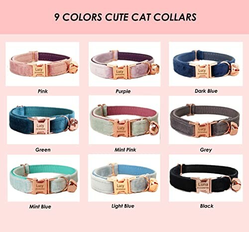 Nine colorful cat collars in various shades with labels.