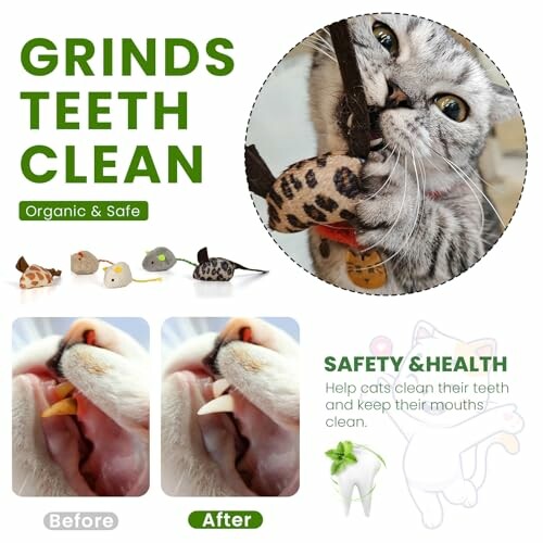 Cat chewing on a dental toy with before and after teeth cleaning images.