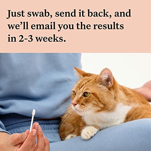 Person holding a swab near an orange cat with a message about sending results.