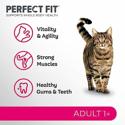 Cat food benefits for vitality, strong muscles, healthy teeth.