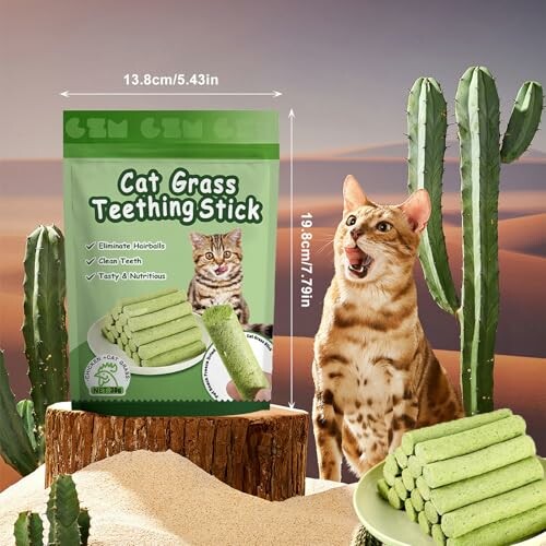 Cat with teething stick in desert setting