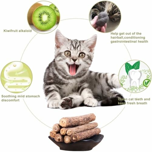 Happy cat surrounded by benefits of kiwifruit alkaloid, hairball management, stomach soothing, and clean teeth.