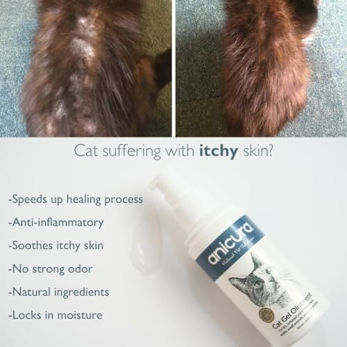 Cat with itchy skin and Anicura gel for treatment.