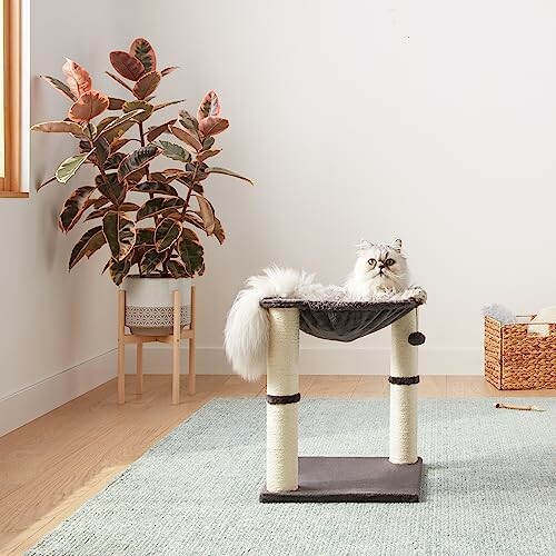 Cat lounging on a scratching post near a potted plant.