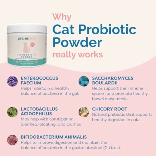 Infographic explaining the benefits of cat probiotic powder with ingredients like Enterococcus Faecium and Chicory Root.