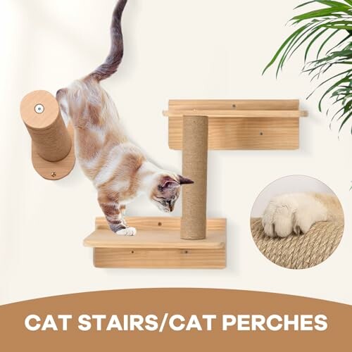 Cat using wooden wall-mounted stairs and perches.