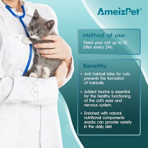 Veterinarian holding a kitten with cat supplement usage and benefits.