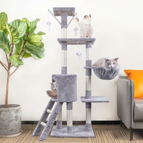 Cats playing on a multi-level cat tree with toys.