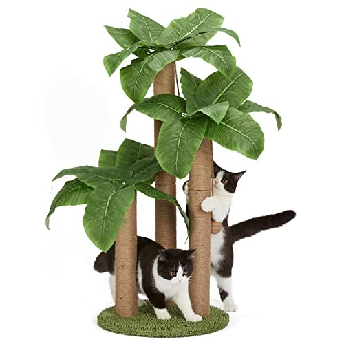 Two cats playing on a cat tree with scratching posts and large green leaves.