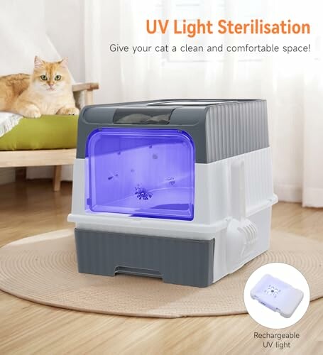 Cat next to a UV light sterilization box for clean space