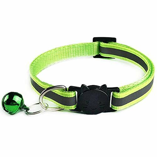 Green cat collar with bell and clasp