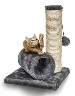 Kitten playing on a cat scratching post with a tunnel and rope.