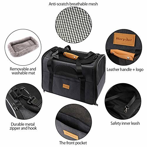 Pet carrier bag with features: mesh, washable mat, leather handle, metal zipper, front pocket, safety leash.