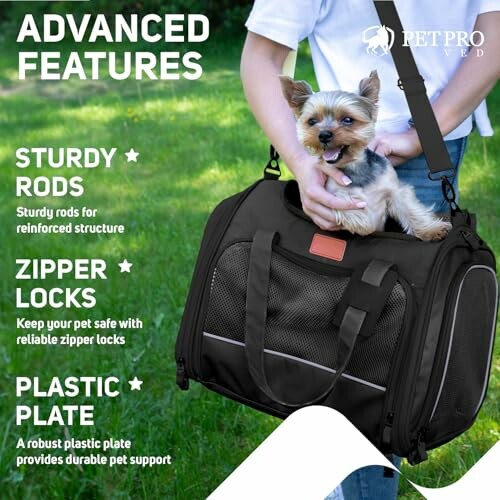 Small dog in a pet carrier showcasing advanced features like sturdy rods, zipper locks, and a plastic plate.