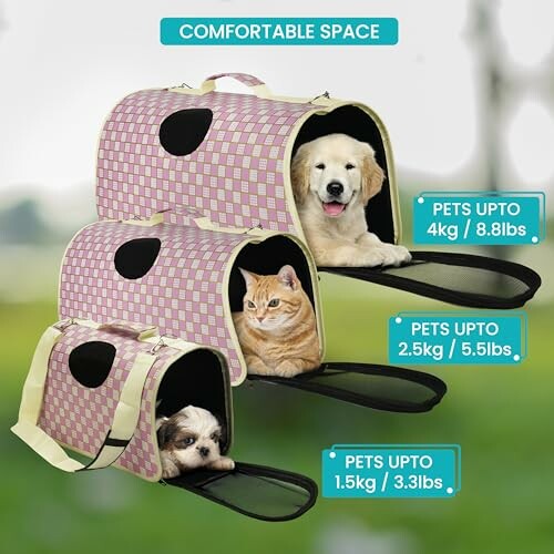 Three pet carriers with a dog, cat, and small dog inside.