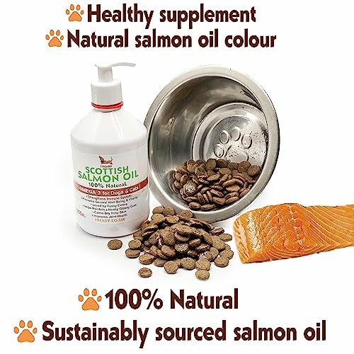 Salmon oil bottle with dog food and salmon piece.