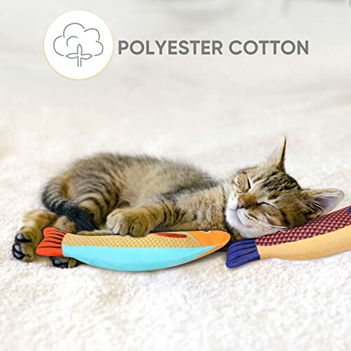 Kitten sleeping with colorful toy fish on a soft surface.