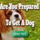 are you prepared to get a dog