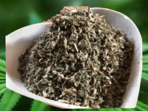 Leaf and bud catnip