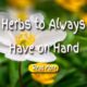 herbs to always have on hand