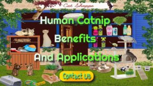 human benefits of catnip