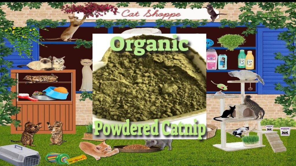 organic powdered catnip (1)