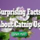 surprising facts about catnip use