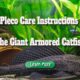 pleco care instructions