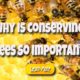 why is conserving bees so important