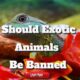 should exotic animals be banned