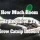 how much room is required to grow catnip indoors