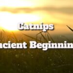 catnips ancient beginnings