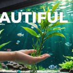 Aquascaping for Beginners